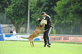 Beau von der Wesenberger Blutbuche