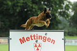 Beau von der Wesenberger Blutbuche