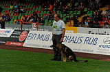 Fero vom Steinteich