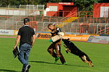 Gun vom Dreisbachtal
