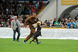 Ronja vom Wellental
