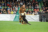 Fenris
