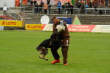 Xando v. d. Moezenbulte