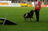 Jago vom Haus Sevens