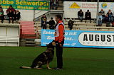 Jago vom Haus Sevens