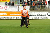 Jago vom Haus Sevens