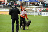 Jago vom Haus Sevens