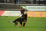 Jago vom Haus Sevens