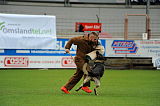 Jago vom Haus Sevens
