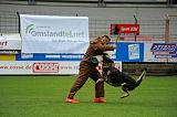 Jago vom Haus Sevens