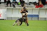 Jago vom Haus Sevens