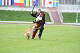 Neli Running Wild