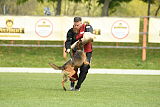 Bak Malinois of Sprajc