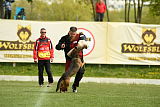 Bak Malinois of Sprajc