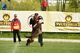 Bak Malinois of Sprajc