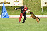 Bak Malinois of Sprajc