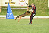 Bak Malinois of Sprajc