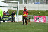Bak Malinois of Sprajc