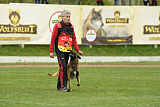 Al Campo Graf Czech