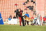 Safft Security's Cooper