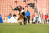 Safft Security's Cooper
