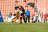 Safft Security's Cooper