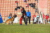Safft Security's Cooper