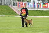 Safft Security's Cooper