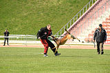 My's Lya Frasse av Dionis