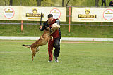Kazak med Jablani