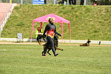Atas of Hungarian Working Dogs