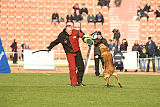 Jesper van de Utadreef