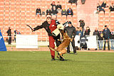 Jesper van de Utadreef
