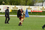 Colt de Villamourel