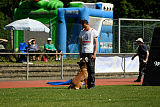 working-dog Bradana
