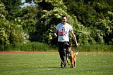 working-dog Bradana