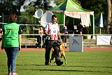 Aiven van de Twentehoeve