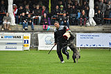 Ebby Fly Dogs Attak