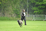 Ebby Fly Dogs Attak