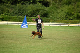 working-dog Bradana