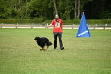 Iwo vom Lappwald