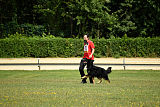 Iwo vom Lappwald