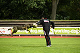 Byrka van Tiekerhook