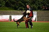 Bak Malinois of Sprajc