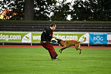 Uran vom Roten Milan