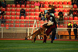 Waild Marinchuk K-9