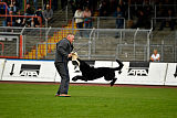Max vom Mochauer Land