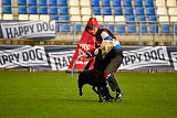 Black Jack vom Hamilberg