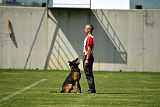 Bak Malinois of Sprajc