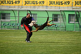 Bak Malinois of Sprajc